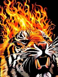 preview of Fire Tiger.jpg